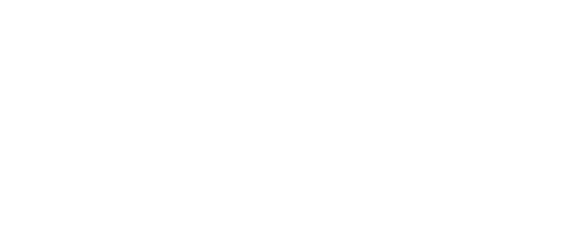 Salis Holdings Logo
